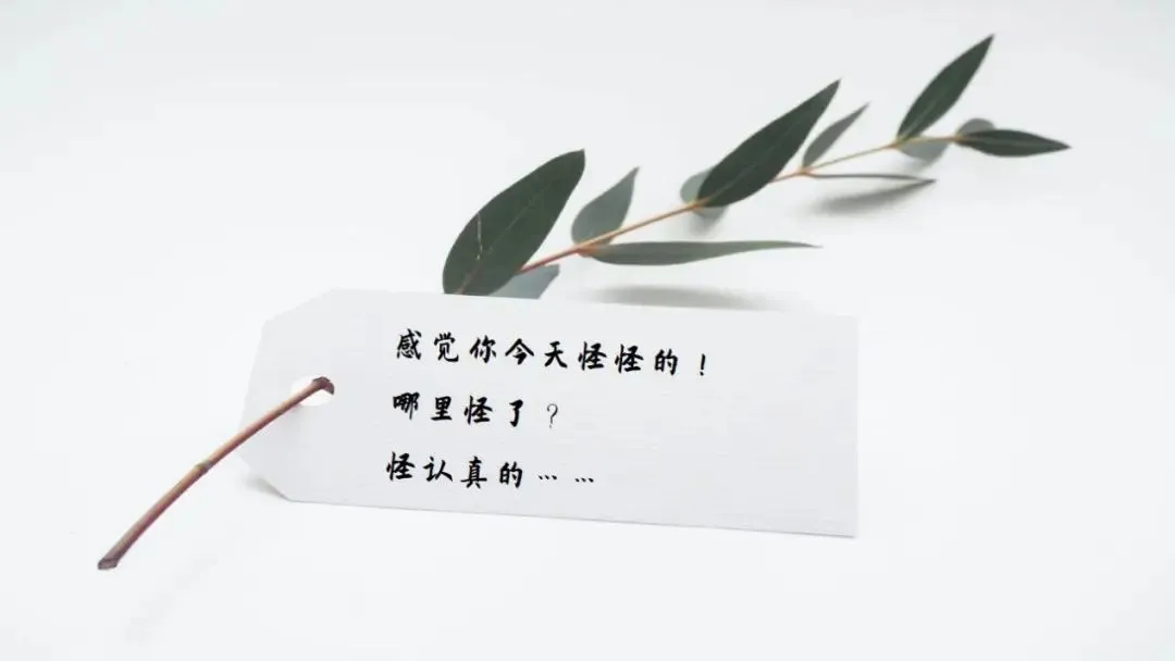建筑业税率大揭秘：1%、3%、6%、9%、13%，一文教你轻松区分！