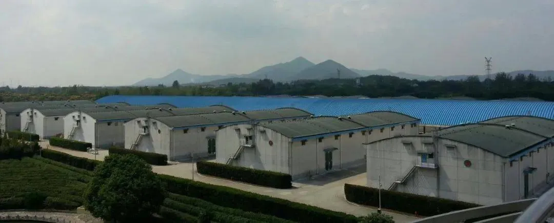 防水卷材有哪些类型？如何选择？一文说明白！