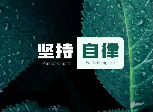 迎考必备 一键电脑进入专注模式 更自律专注复习的小工具