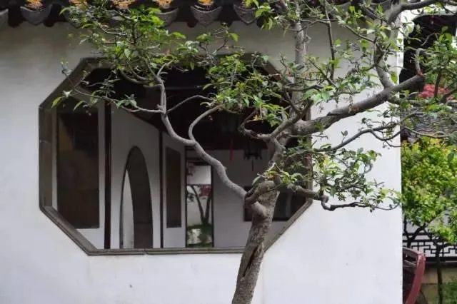 亭台、楼阁、轩榭、廊舫，这些建筑的特点是什么？