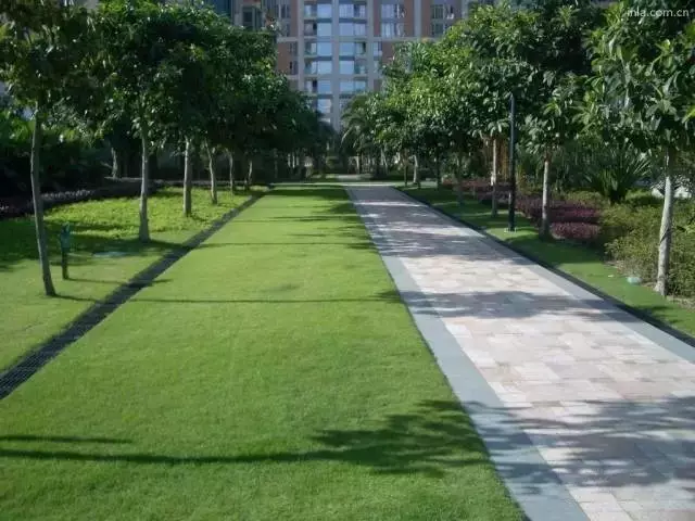 消防扑救面常见的几种景观处理方式