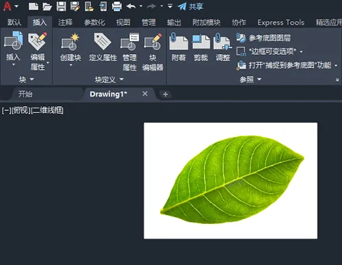 cad图片怎么移动