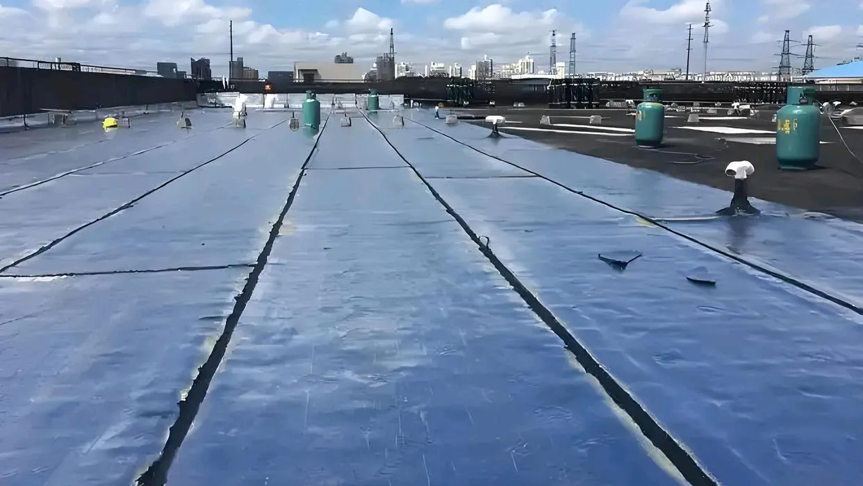 防水材料新规：这两种卷材被住建部叫停，改用TPO/SBS更省钱