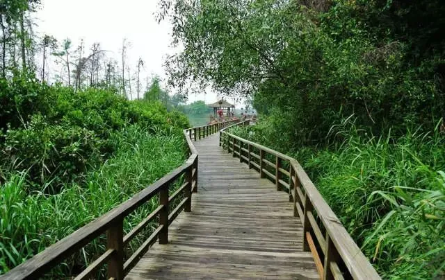 兼具使用功能和美学 园林景观铺装知识