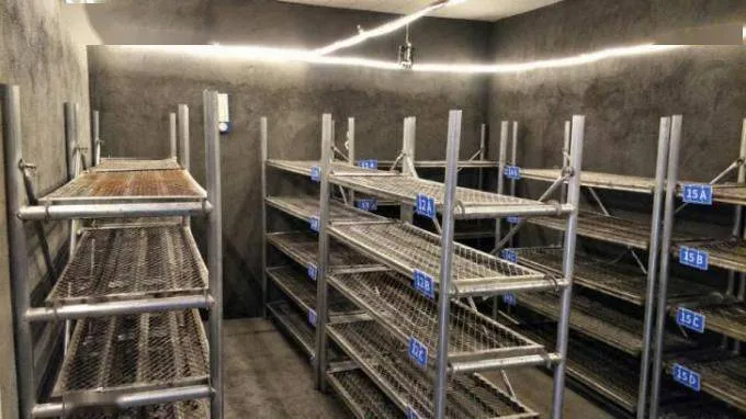 混凝土同条件标准养护试块统计汇总表格 全自动计算.xlsx