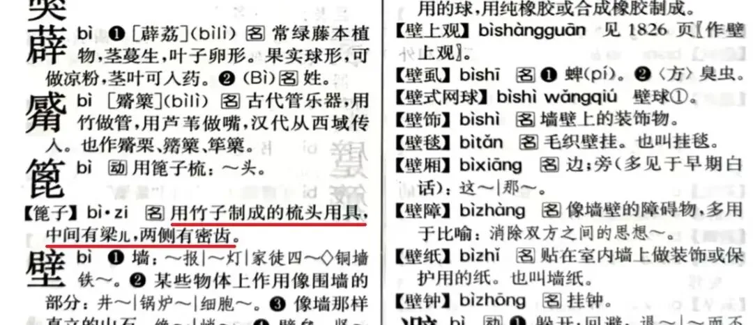 排水沟的“水bì子”你了解多少？